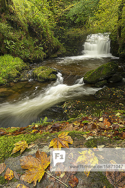 Wasserfälle am Hoar Oak Water bei Watersmeet im Herbst  Exmoor National Park  Somerset  England  Vereinigtes Königreich  Europa