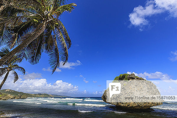 Bathsheba  Pilzfelsen  windgepeitschte Palme  Atlantikwellen  zerklüftete Ostküste  Barbados  Inseln über dem Winde  Westindien  Karibik  Mittelamerika