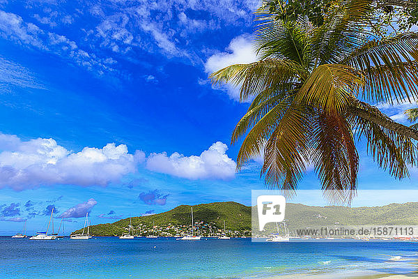 Ruhige Karibik  Palmen am Meeresufer  schönes Port Elizabeth  Admiralty Bay  Bequia  Die Grenadinen  St. Vincent und die Grenadinen  Inseln über dem Winde  Westindien  Karibik  Mittelamerika