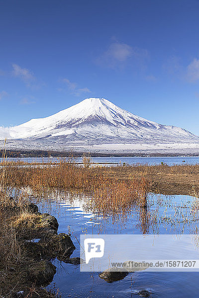 Mount Fuji, UNESCO World Heritage Site, and Lake Yamanaka, Yamanashi Prefecture, Honshu, Japan, Asia