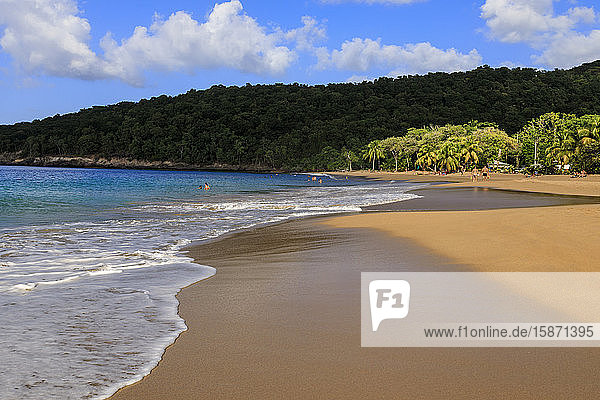 Tropischer Strand Anse de la Perle  Palmen  goldener Sand  blaues Meer  Death In Paradise Location  Deshaies  Guadeloupe  Leeward Islands  Westindien  Karibik  Mittelamerika