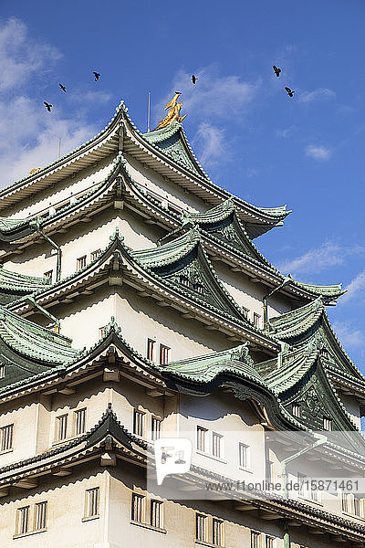 Nagoya Castle, Nagoya, Honshu, Japan, Asia