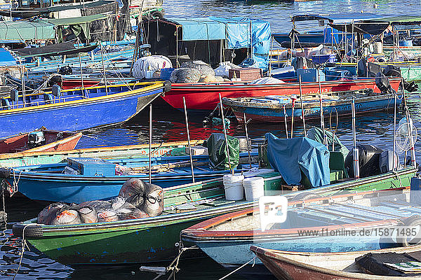 Fishing boats in harbour,  Cheung Chau,  Hong Kong,  China,  Asia