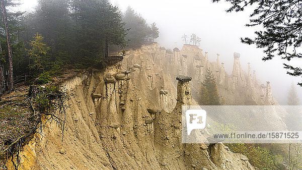 Earth Pyramids and woods in the autumn mist Perca (Percha) province of Bolzano South Tyrol Italy Europe