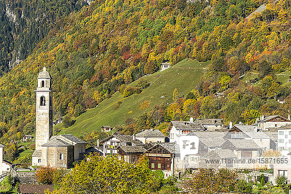 Larch trees and woods framing the village of Soglio in autumn Val Bregaglia Canton of Graubunden Switzerland Europe