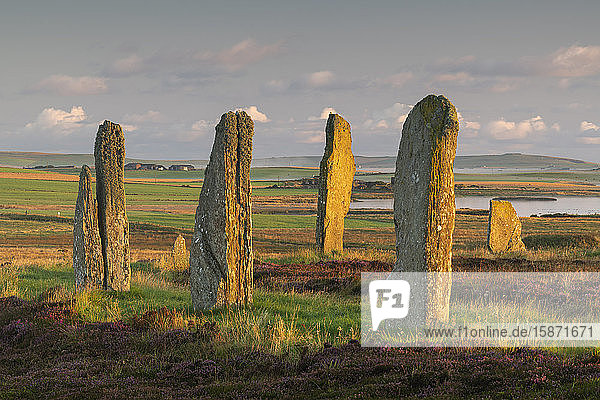 Neolithischer Ring of Brodgar  UNESCO-Weltkulturerbe  in der Morgendämmerung auf den Orkney-Inseln  Schottland  Vereinigtes Königreich  Europa