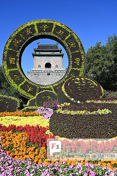 Aufwändige Blumendekorationen zur Feier von 70 Jahren China umrahmen den 1272 erbauten Glockenturm  Peking  China  Asien