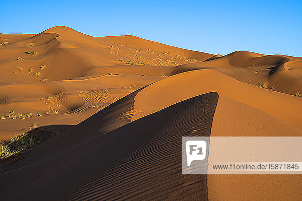 Sanddünen und blauer Himmel  Wüste Sahara  Marokko  Nordafrika  Afrika
