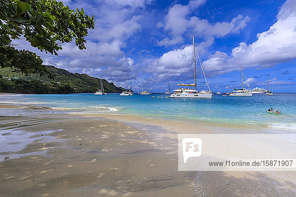 Wunderschöner Princess Margaret Beach  Port Elizabeth  Admiralty Bay  Bequia  Die Grenadinen  St. Vincent und die Grenadinen  Inseln über dem Winde  Westindische Inseln  Karibik  Mittelamerika