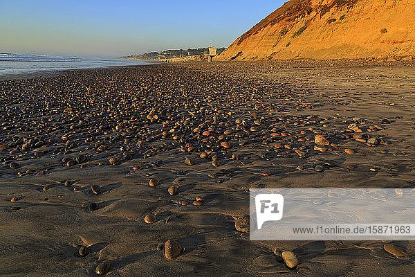 Torrey Pines State Beach  Del Mar  San Diego County  Kalifornien  Vereinigte Staaten von Amerika  Nordamerika