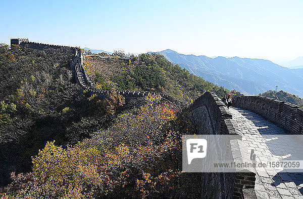 Blick entlang der Chinesischen Mauer  Abschnitt Mutianyu  UNESCO-Weltkulturerbe  Bäume in Herbstfarben  Peking  China  Asien
