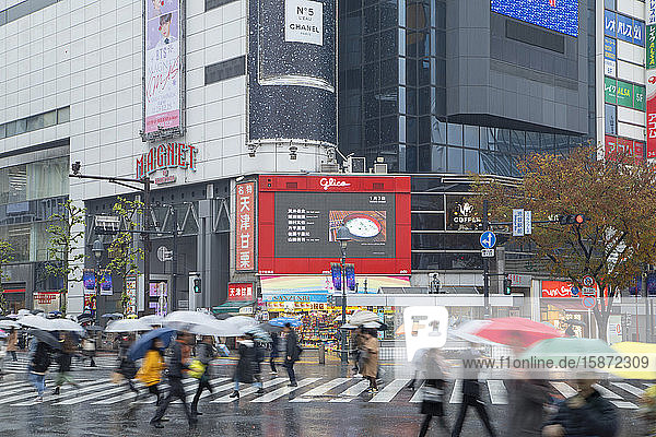 Menschen gehen über die Shibuya-Kreuzung  Shibuya  Tokio  Honshu  Japan  Asien