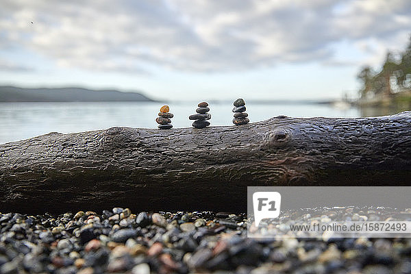 USA  Washington  San Juan County  Orcas Island  Stacks of pebbles on log