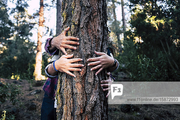 Couple embracing tree in forest