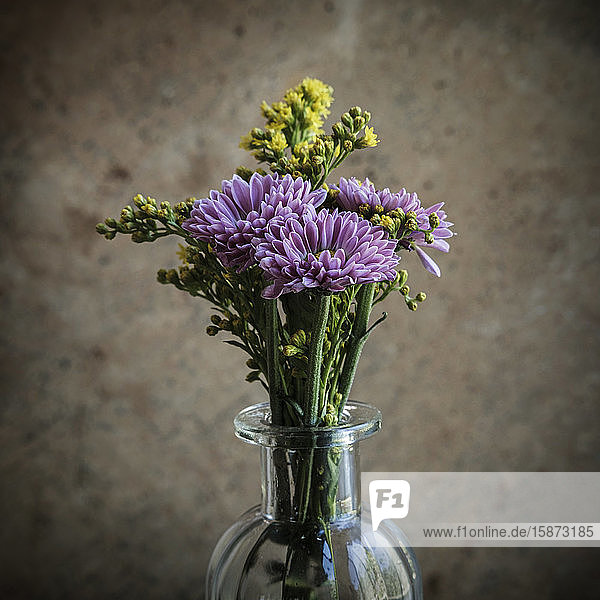 Purple flowers in vase