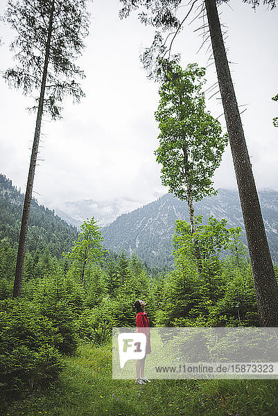 Junge Frau mit roter Jacke im Wald