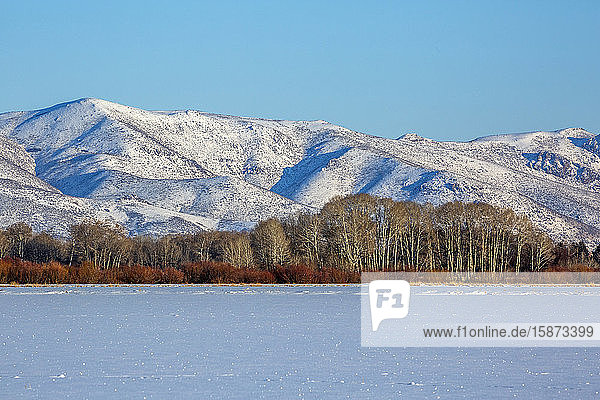 Snowy mountain in Picabo Idaho