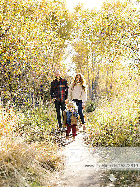Familie beim Spaziergang auf dem Waldweg