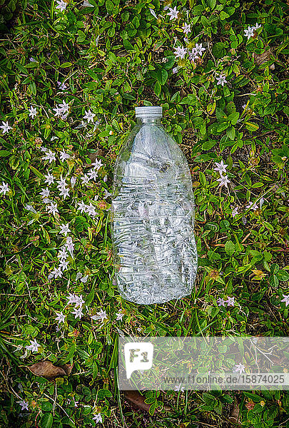 Plastic bottle on grass