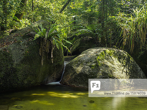 Rocks and pond in forest
