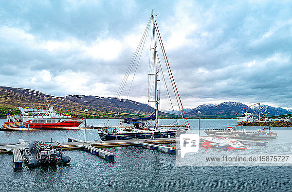 Akureyri  Island  Boote und Ausflugsboote im Hafen