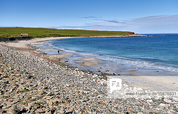 Vereinigtes Königreich  Schottland  Orkney-Inseln ist eine Inselgruppe auf den nördlichen Inseln Schottlands  Atlantik  Kieselstrand und Sand