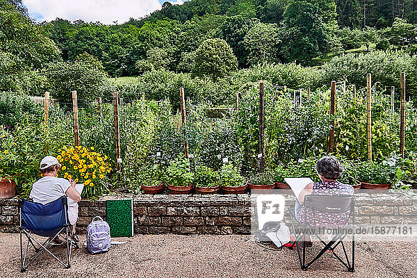 Frankreich  Departement Ain  Region Auvergne - Rhône - Alpes. Zeichenunterricht im Gemüsegarten-Wintergarten des Dorfes Cuisat