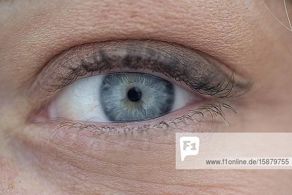 Woman's eye