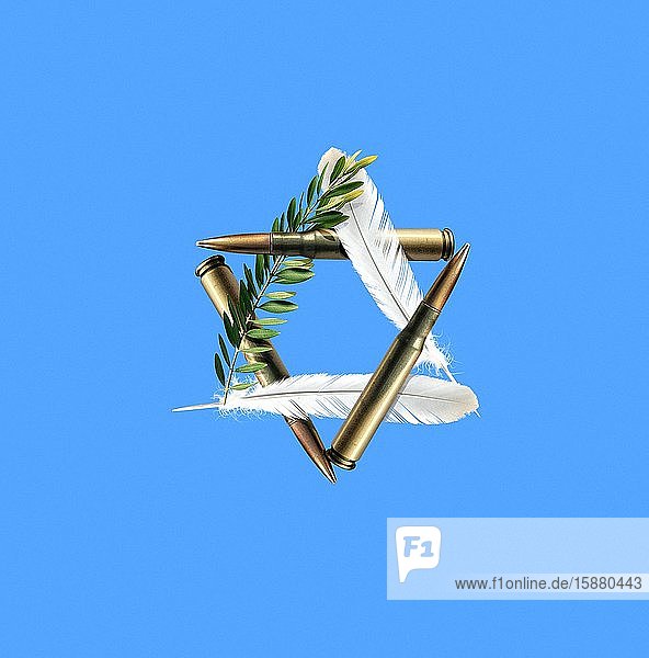 Illustration star symbolizing the State of Israel (olive branch dove feathers and bullets)