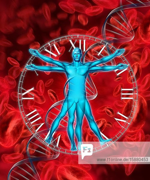 Illustration Vitruvian Man red blood cell and dna sequence in background