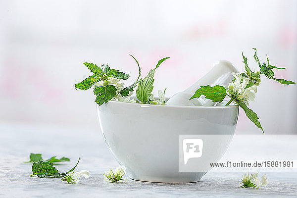 Phytotherapeutic preparation of nettle leaves in a mortar.