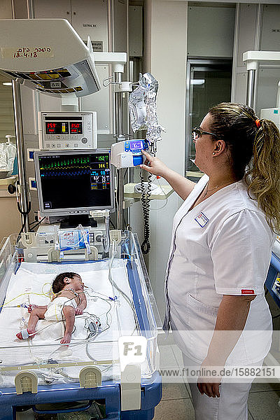 St.-Vincent-de-Paul-Krankenhaus  betrieben von den katholischen Missionarinnen der Töchter der Nächstenliebe in Nazareth  Israel. Neonatologische Station. Krankenschwester mit einem Frühgeborenen.