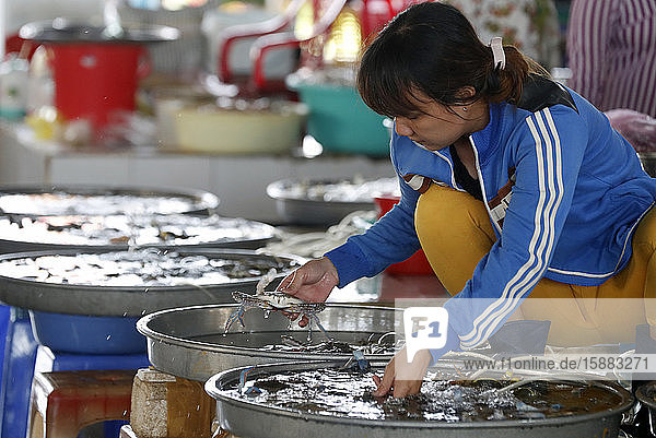 Fischmarkt. Ha Tien. Vietnam.
