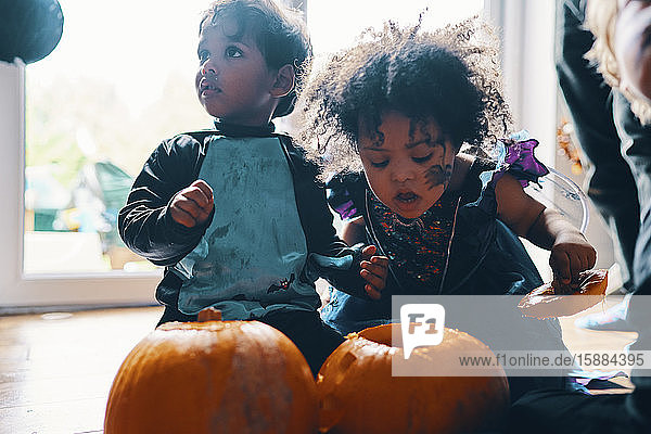 Zwei für Halloween verkleidete kleine Kinder  die mit zwei Kürbissen auf dem Boden knien.