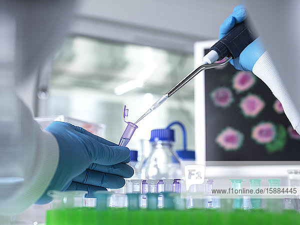 Wissenschaftler  der im Labor  das in der DNA-  medizinischen und pharmakologischen Forschung verwendet wird  ein Probenfläschchen für analytische Tests mit einer Pipette vorbereitet.