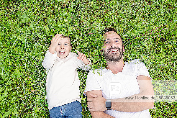 High angle view of smiling bearded man and young boy lying in grass.