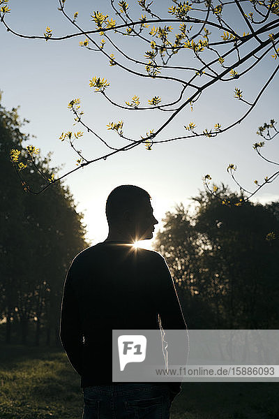 Silhouette eines Mannes  der bei Sonnenaufgang in einem Park steht