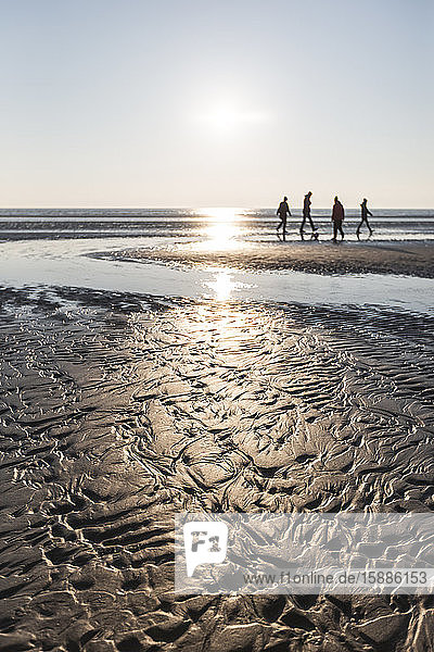 Dänemark  Romo  Sandküstenstrand bei Sonnenuntergang