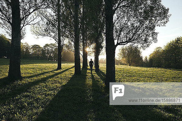 Silhouette eines Mannes  der bei Sonnenaufgang in einem Park spazieren geht