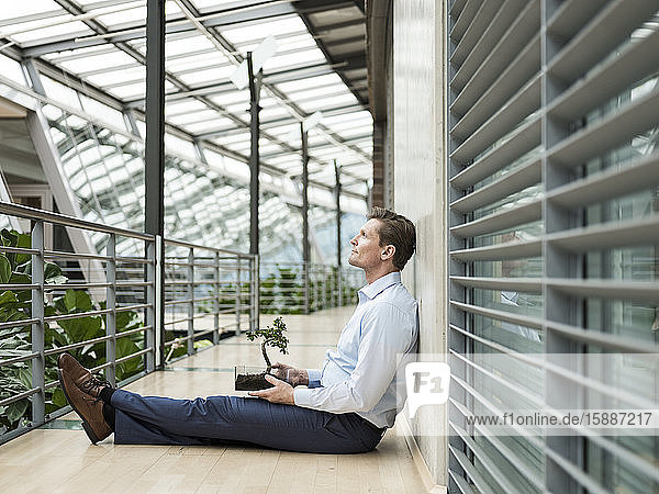 Geschäftsmann im grünen Atrium  auf der Galerie sitzend  mit Bonsai auf dem Schoß