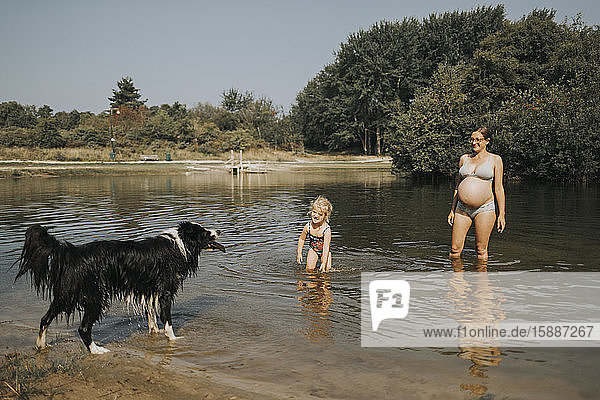 Niederlande  Schiermonnikoog  schwangere Mutter mit Tochter und Border Collie in einem See