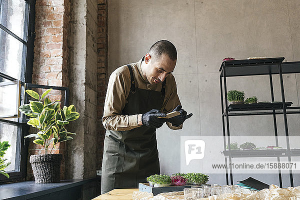 Mann macht Smartphone-Foto von Mikrogrün auf dem Tisch