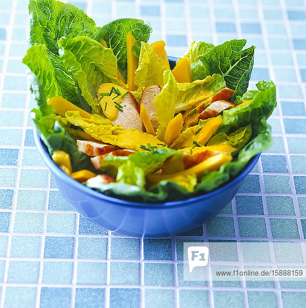 Salatschüssel mit Römersalat  Mango und gebratener Hühnerbrust