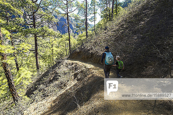 Back view of father walking with his little son on a hiking trail  La Palma  Canary Islands  Spain
