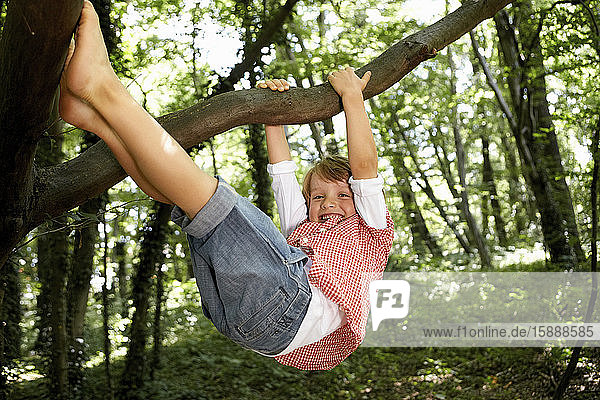 Glücklicher Junge klettert auf Baum im Wald