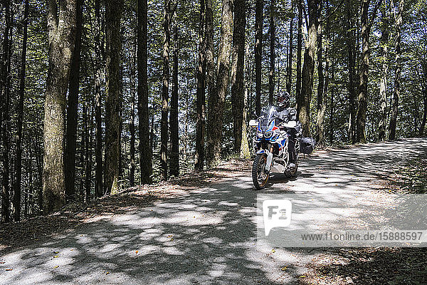 Motorradfahrer auf einer Fahrt auf einem Waldweg