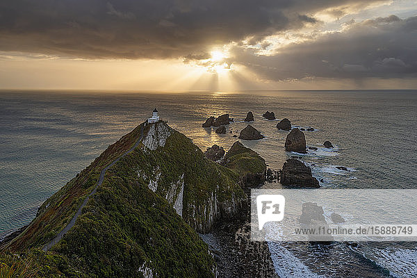 New Zealand  Otago  Long exposure of Nugget Point at moody sunrise