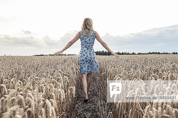 Rückenansicht einer barfüssigen Frau  die in einem Weizenfeld geht