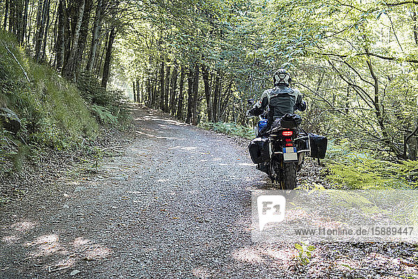 Motorradfahrer auf einer Fahrt auf einem Waldweg