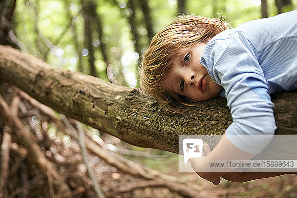 Portrait of serious boy lying on log in forest